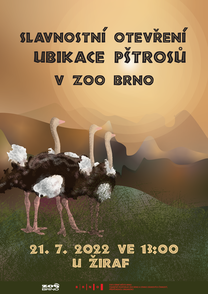 Pštrosi se vracejí do Zoo Brno